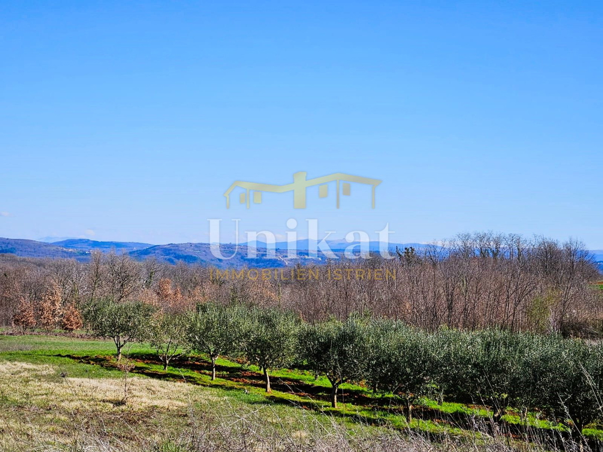 Terreno edificabile in posizione tranquilla